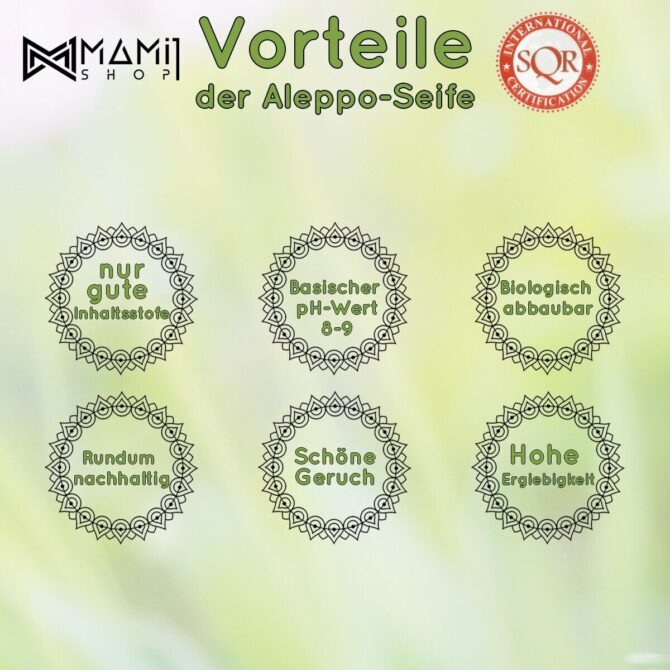 10 Stück | 1/2 ORIGINAL-Aleppo-Seife Lorbeeröl+Olivenöl+ GESCHENK | 1Kg