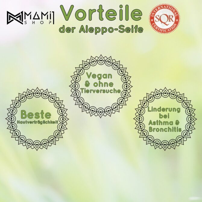 10 Stück | 1/2 ORIGINAL-Aleppo-Seife Lorbeeröl+Olivenöl+ GESCHENK | 1Kg