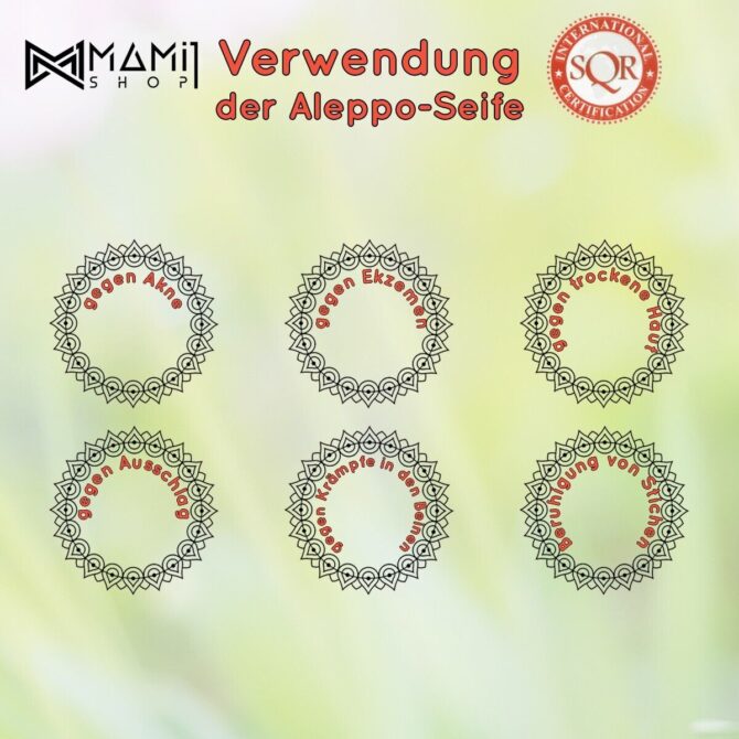 10 Stück | 1/2 ORIGINAL-Aleppo-Seife Lorbeeröl+Olivenöl+ GESCHENK | 1Kg